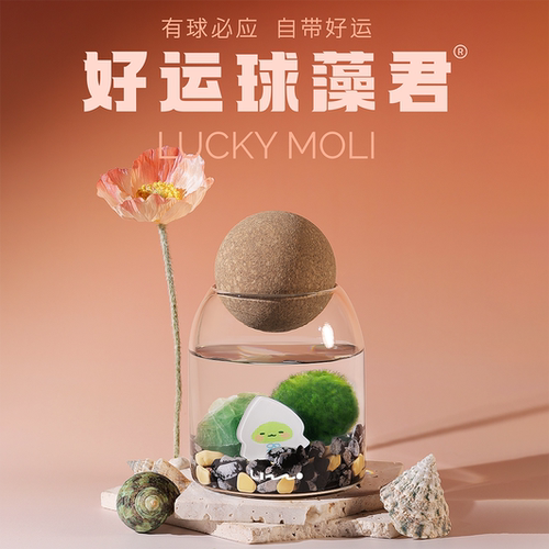 明星同款「有球必应瓶」好运球藻