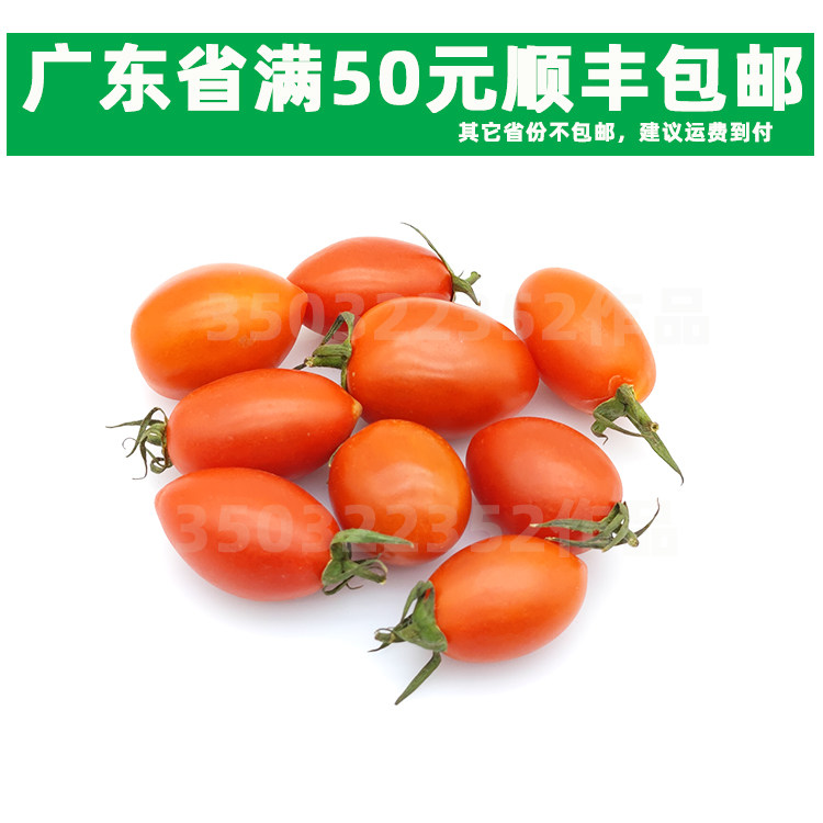 1斤装新鲜红圣女果 圣女茄 樱桃小番茄 红小番茄色拉菜 红番茄
