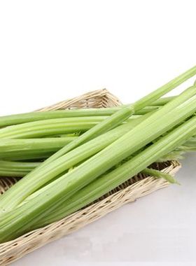 新鲜 西芹 绿色蔬菜 西洋芹菜 榨汁摆盘 500g 广东50元包邮顺丰