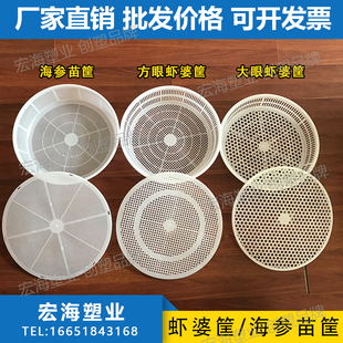 塑料筛子圆孔沥水簸箕海鲜海参苗框圆形鱼筐加厚大孔筛网虾婆筐子