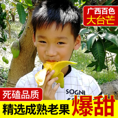 广西大台农芒果新鲜9斤百色田东台芒水果当季整箱果5小10生应季青