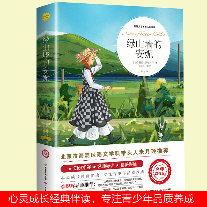 正版速发 绿山墙的安妮 我的好词好句精美彩绘阅读注释初中生高中生