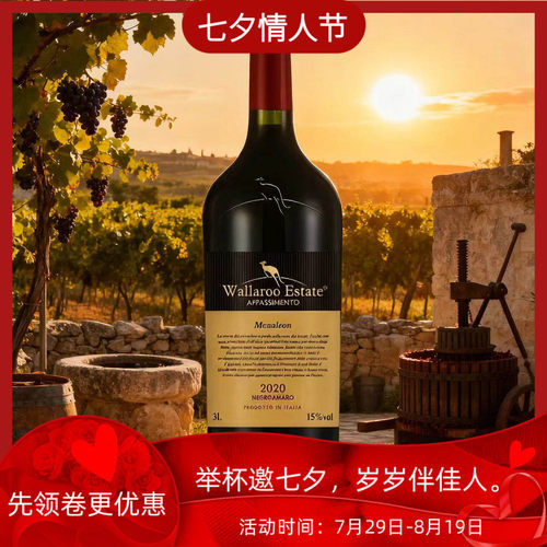 意大利6斤装原瓶进口红葡萄酒
