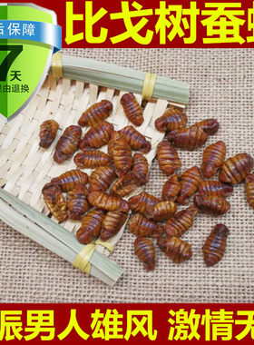 中药材比戈树蚕蛹干蚕蛹 雄树蚕蛹 正品药用500克包邮 免费磨粉