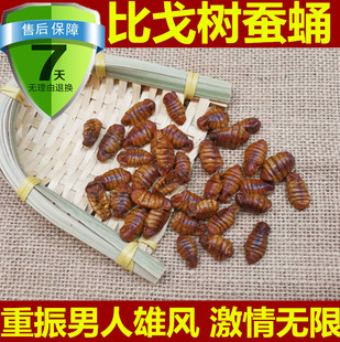中药材比戈树蚕蛹干蚕蛹 雄树蚕蛹 正品药用500克包邮 免费磨粉