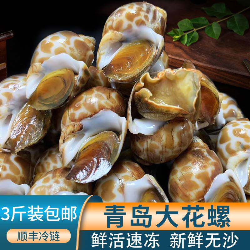 花螺鲜活冷冻大花螺新鲜特大无沙海螺东风螺猫眼螺海鲜水产3斤装