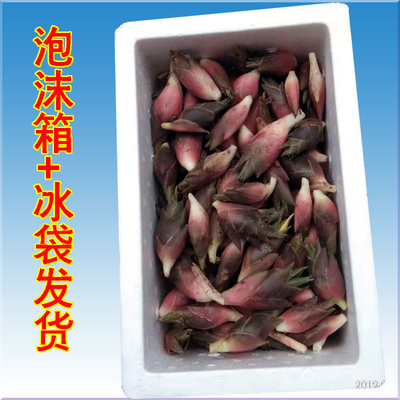 重庆梁平土特产现挖现发新鲜阳荷姜洋荷阳和蘘荷姜笋野菜500g包邮