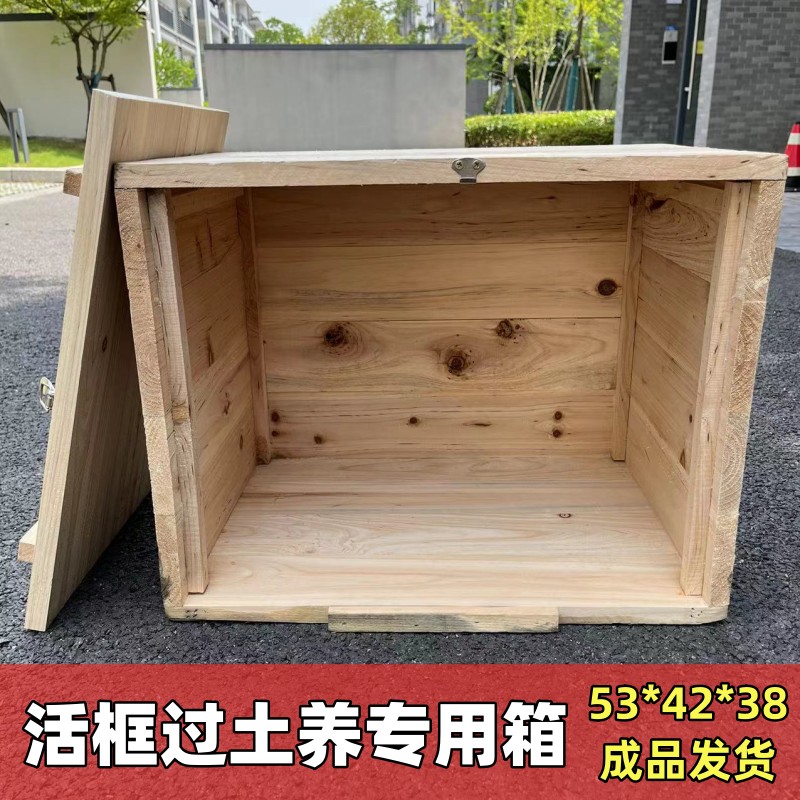 免安装活框改土养箱诱蜂箱全新杉木中蜂蜂箱1.9厚单侧开门成品箱