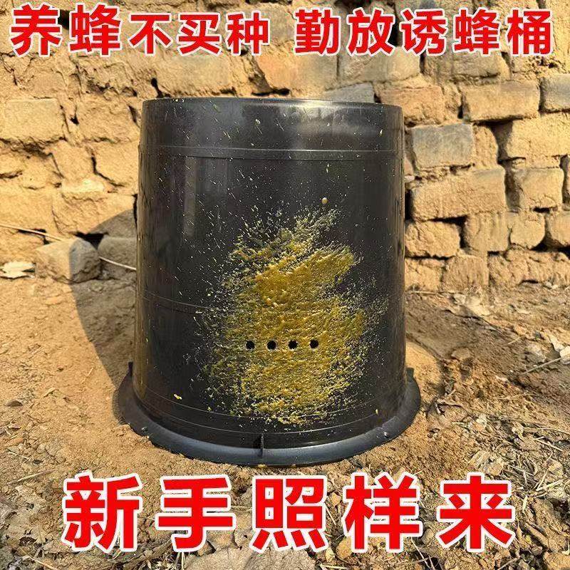 10个装诱蜂桶透气引蜂桶招蜂桶黑色胶桶养蜂30升专用桶涂好蜂蜡
