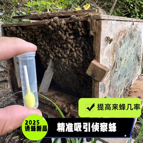 诱蜂信息素诱蜂诱芯蜂王信息素