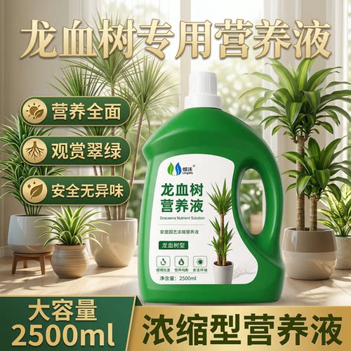 龙血树龙须树专用肥料营养液盆栽植物室内绿植养花肥通用正品家用