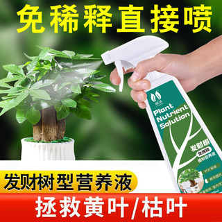 免稀释发财树专用营养液花肥料富贵竹花卉绿植家用盆栽通用液体肥