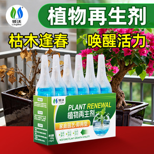 植物再生剂发财树花卉绿植盆栽通用光杆发黄发财树多肉生长营养液