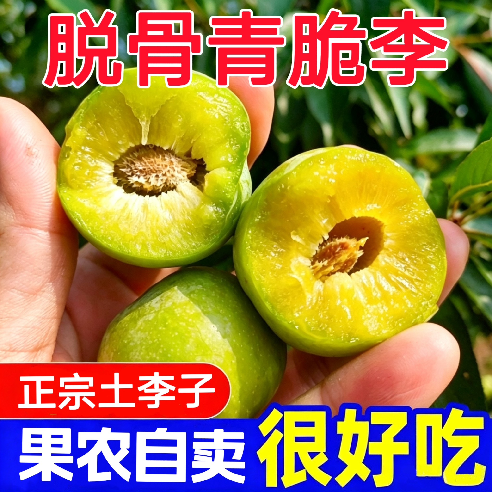 重庆万州分水青脆李脱骨土李子巫山脆李当季新鲜水果脆甜大果现摘