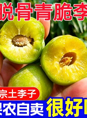 重庆万州分水青脆李脱骨土李子巫山脆李当季新鲜水果脆甜大果现摘