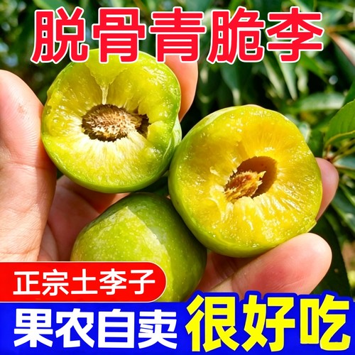 重庆万州分水青脆李脱骨土李子巫山脆李当季新鲜水果脆甜大果现摘