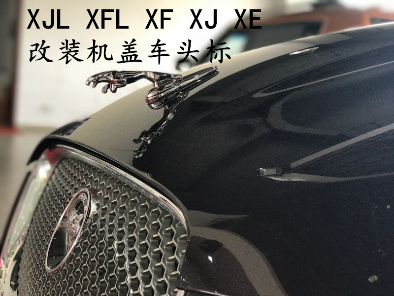 捷豹XF立标XJL车标JAGUAR前标立体标志金属机盖车头标改装免打孔 汽车用品/电子/清洗/改装 汽车车标 原图主图