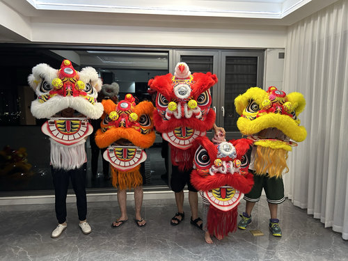 舞龙舞狮舞狮子佛山醒狮用品南狮醒狮头成人全套双人单人泡沫狮头