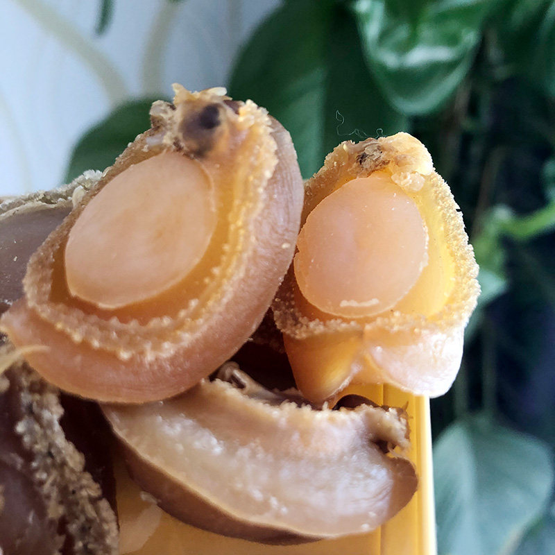 80头鲍鱼仔 干鲍鱼 佛跳墙原材料 特级 干货 大连鲍鱼 150克标价