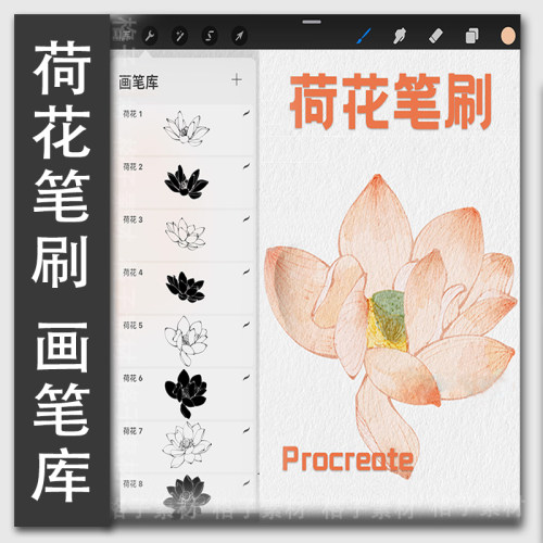 procreate荷花笔刷绣球紫藤花百合花鸢尾花笔刷可商用花卉素材