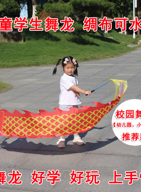 健身甩龙舞龙彩带儿童成人舞飘带空竹舞龙甩龙校园舞龙学生舞龙