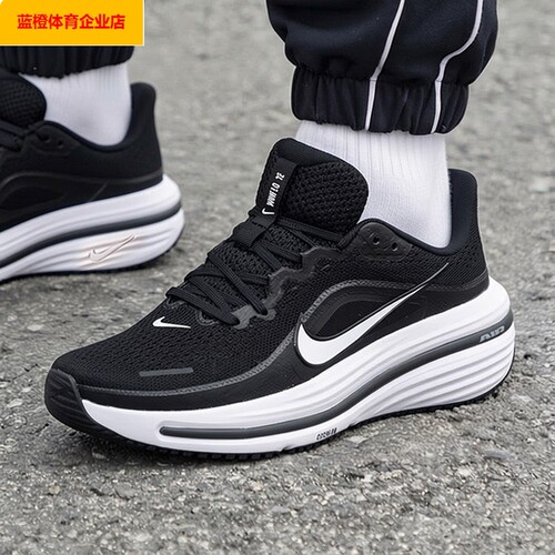 NIKE男鞋AIR WINFLO 12时尚运动鞋训练缓震跑步鞋HV9272