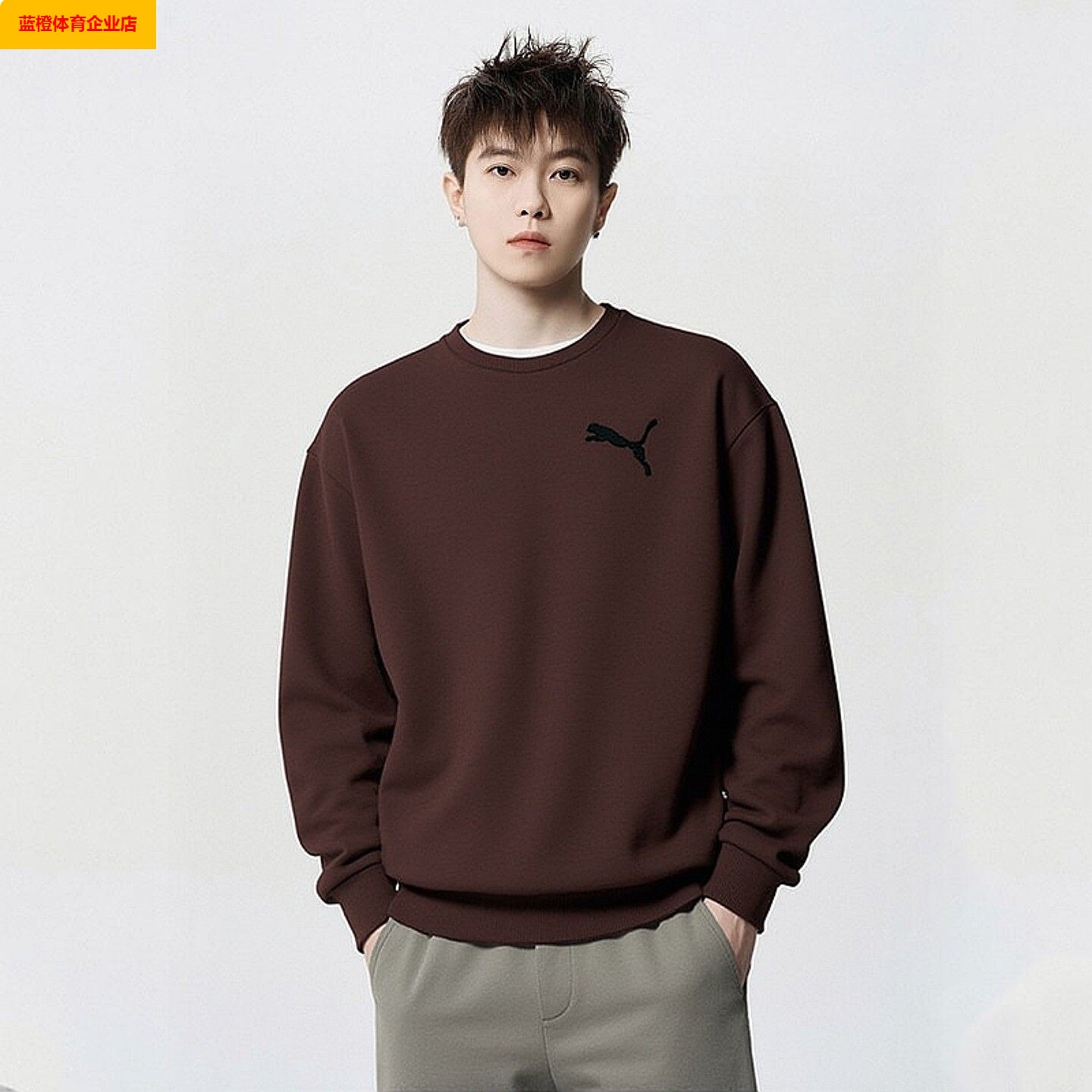 PUMA卫衣男春季新款圆领休闲套头衫时尚运动服长袖上衣636791