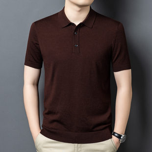 进口杨子纱超细短袖精纺男士Polo领100纯羊毛针织商务休闲打底衫