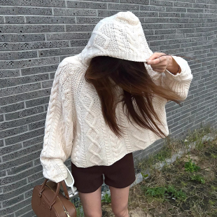 韩国chic秋冬法式 麻花纹连帽针织毛衣女 慵懒风宽松休闲小个子长袖