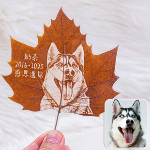 梧桐叶雕刻定制宠物离世纪念品照片相框摆台猫咪狗狗去世收藏纪念