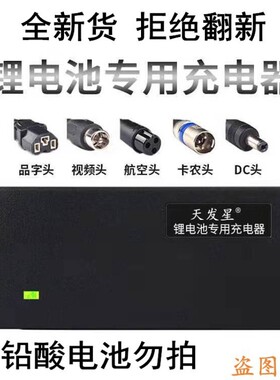 电动车锂电池充电器48V2A3A通用喜德盛平衡车雅迪松吉电瓶车振特