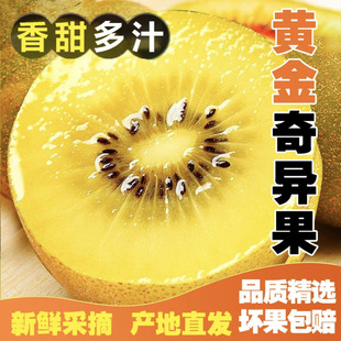 奇特黄心猕猴桃助消化新鲜当季时令高端级水果金奇异果礼盒送父母