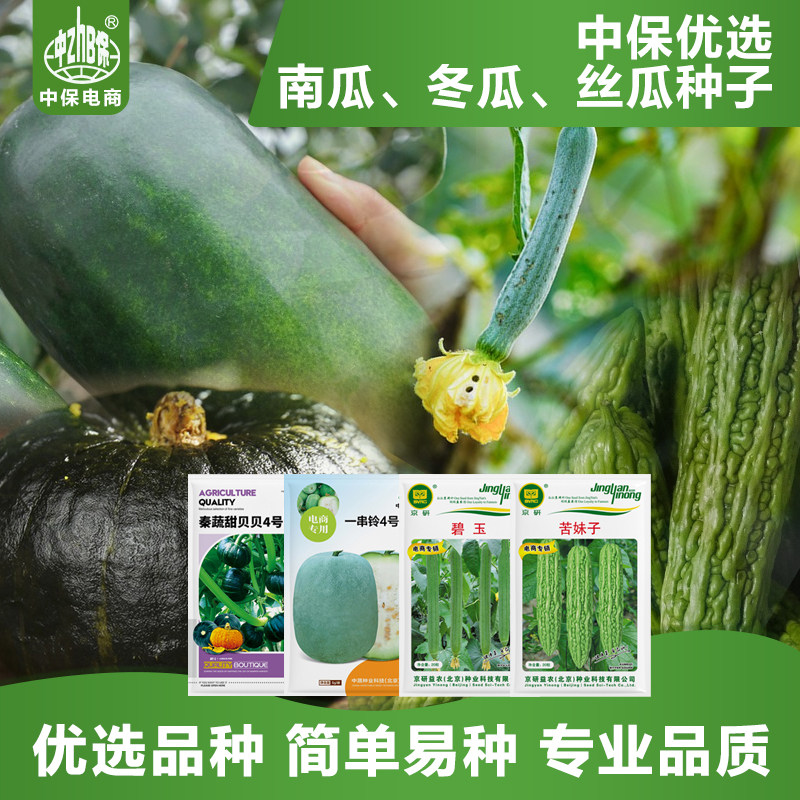 农科院蔬菜贝贝南瓜种子西葫芦苦瓜长肉丝瓜大冬瓜易种蔬菜籽孑