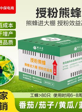 授粉熊蜂雄蜂番茄黄瓜授粉草莓蓝莓授粉约100只（蜂王工蜂）6-8周
