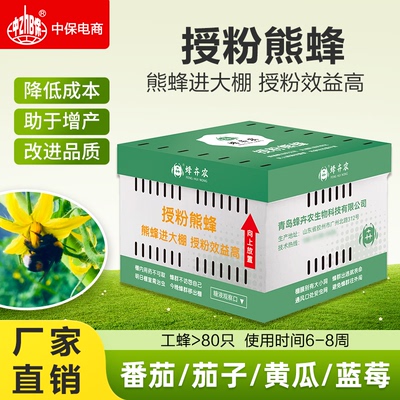 授粉熊蜂雄蜂番茄黄瓜授粉草莓蓝莓授粉约100只（蜂王工蜂）6-8周