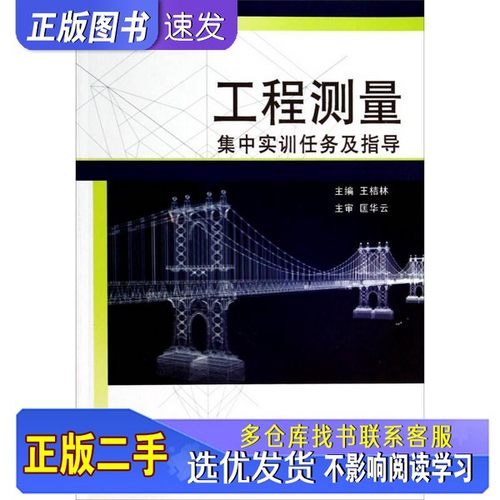 2手正版】工程测量集中实训任务及指导 王桔林 湘潭大学出版社 9787811285833