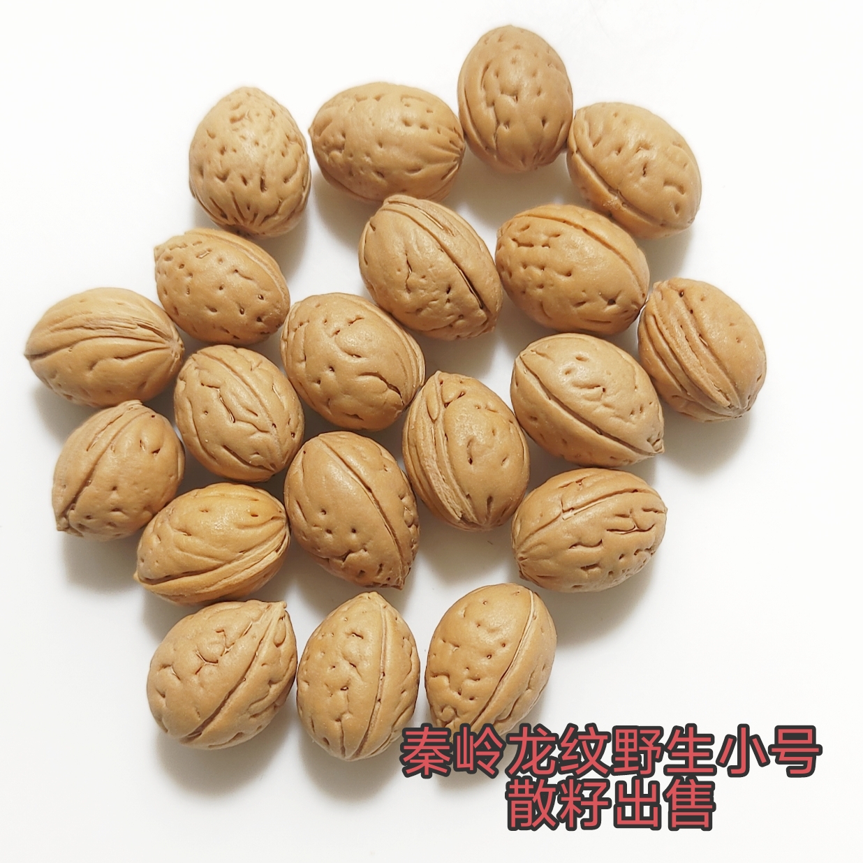纯天然野生龙纹桃核龙纹脑纹小籽出售