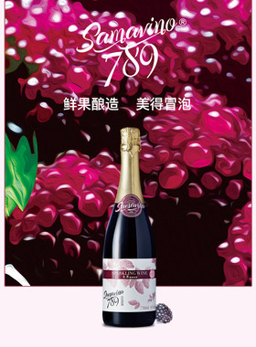750ml商务果酒包邮