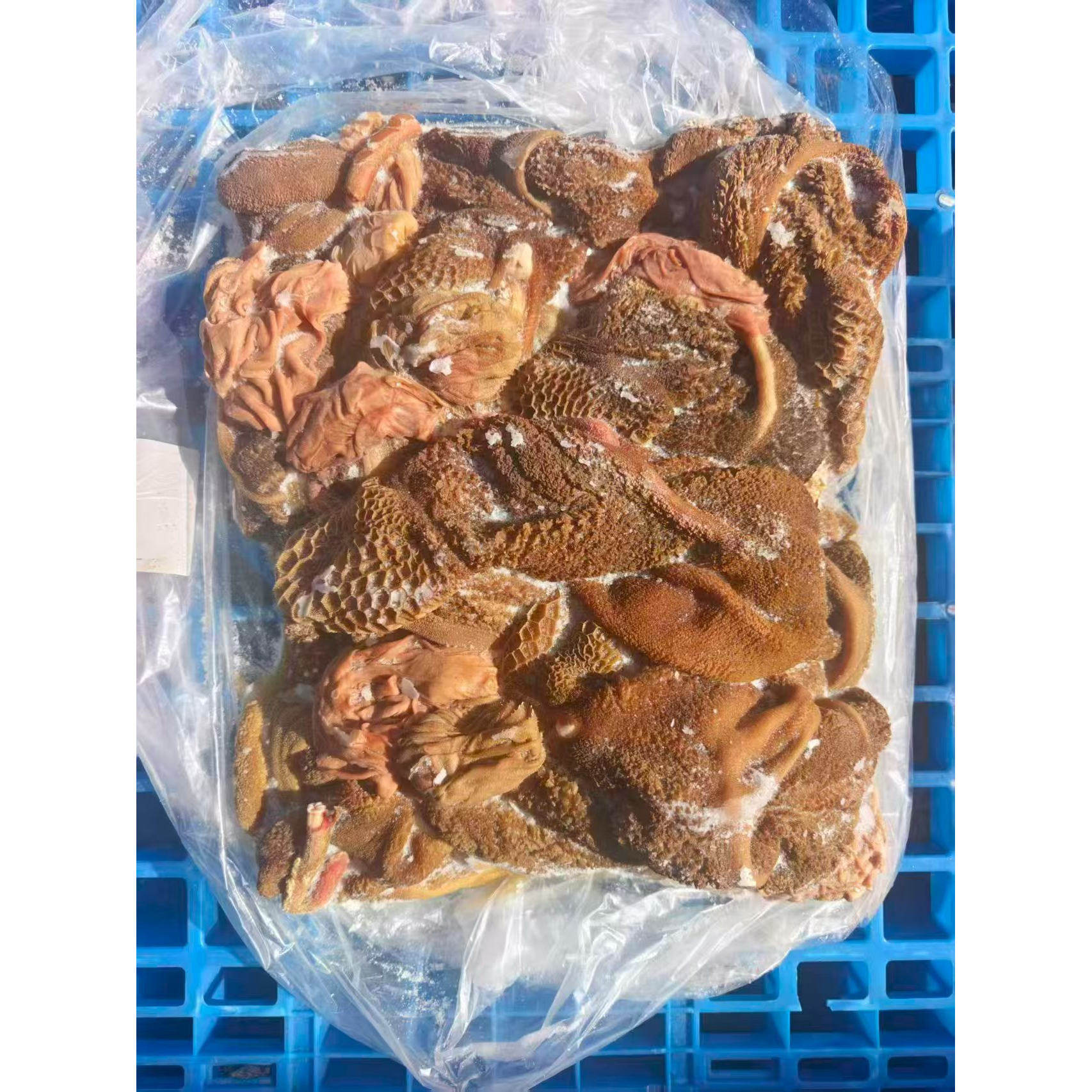 羊毛肚20斤羊黄毛肚羊杂羊肚子新鲜冷冻生羊肚黄毛肚火锅食材
