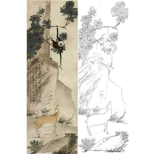 工笔画白描底稿花鸟国画猿獐图于非闇实物打印临摹勾线过透稿YF19