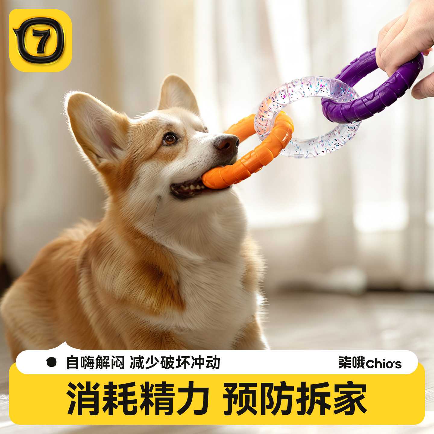 狗狗玩具拉力环耐咬洁齿磨牙泰迪金毛大小型犬训练狗互动拔河玩具图片
