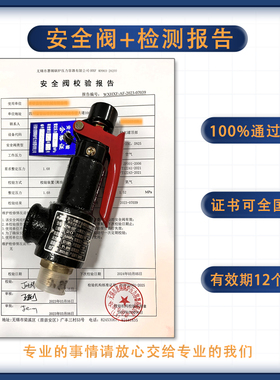 A27系列储气罐安全阀代检测 带效验报告 正规有效安检合格证 ISO