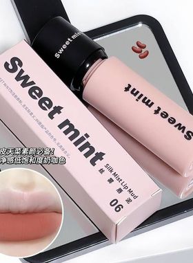 氛围 面雾口红SW丝雾感学生持久EET白女MINT哑光雾泥百搭显唇平价