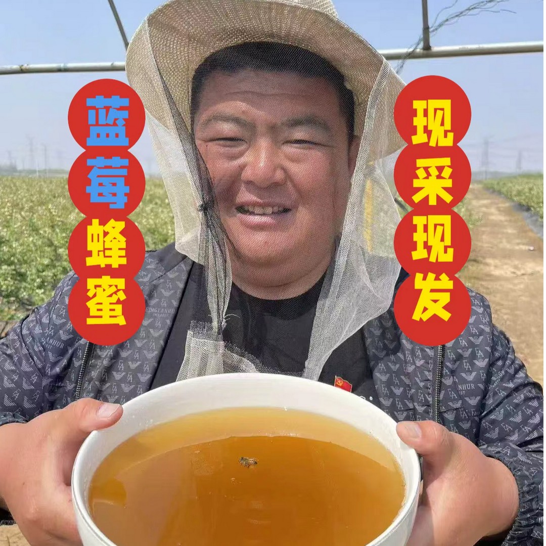 书记助农假一罚十山东蓝莓蜂蜜无添加农家纯天然蓝莓蜜送试吃