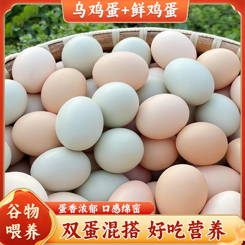 混合装50枚粉壳蛋25枚+乌鸡蛋25枚 营养好吃