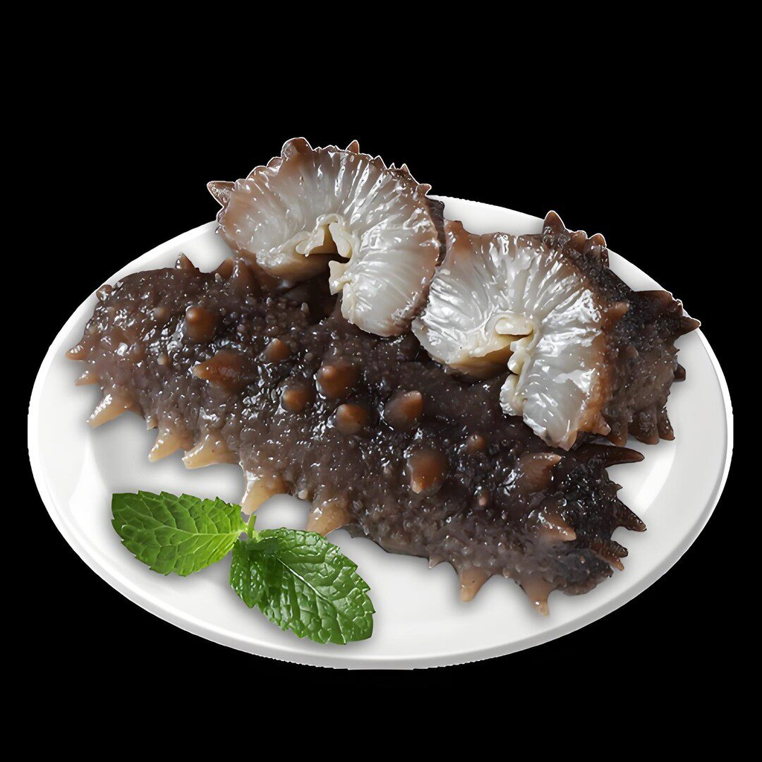 湛爱鲜食海参12-16头/斤大连即食辽刺参独立真空包装煲汤蒸水蛋