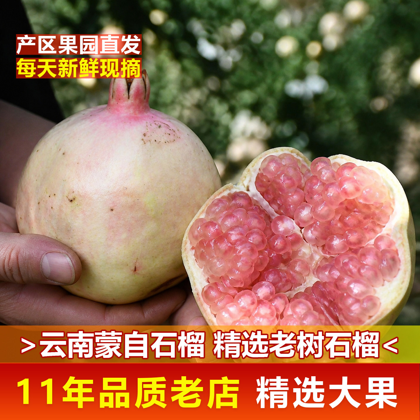 【精选大果】云南蒙自石榴绿籽薄皮大甜石榴当季应季新鲜水果9斤