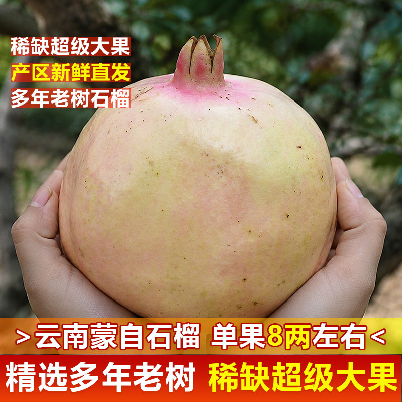 云南蒙自石榴稀缺超级大果9斤