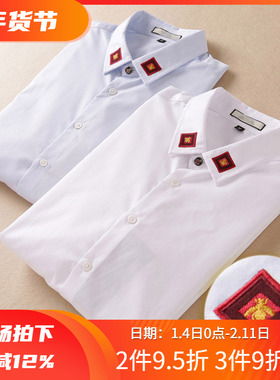 2折镇店之宝秋季领子精美蜜蜂刺绣男士商务休闲衬衫72505 P40