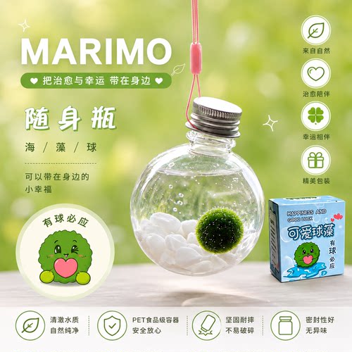 幸福海藻球marimo微景观生态瓶